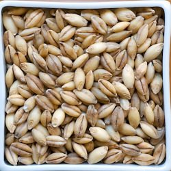 20 Grains to Cook and Eat - Recipe photo by kim