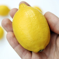 Moroccan Preserved Lemons - Recipe photo by antoniotahhan