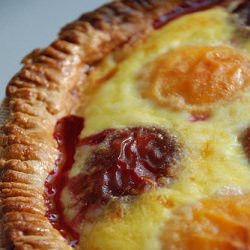 Apricot Custard Pie - Recipe photo by feedingmaybelle