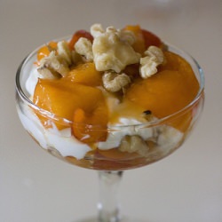 Honey-Apricot Parfait - Recipe photo by thewanderingeater