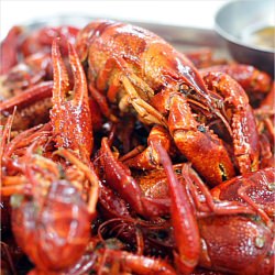 Crawfish - Recipe photo by rasamalaysia