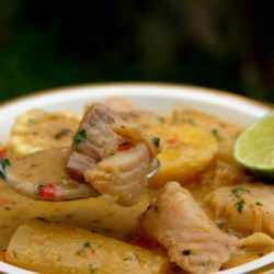 Biche de Pescado - Recipe photo by laylita
