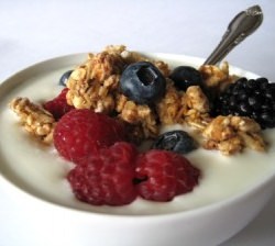 Homemade Yogurt - Recipe photo by chezus