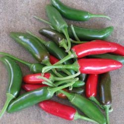 Vietnamese Lemongrass Chili Sauce - Recipe photo by madball911