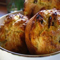 Coconut Cranberry Muffins - Recipe photo by chairfan66