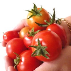 Tomatoes - Recipe photo by snwan