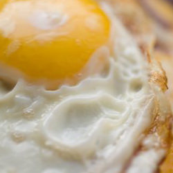 Fried Egg - Recipe photo by Homesick Texan