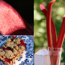 Rhubarb Bars - Recipe photo by the houndstooth gourmet