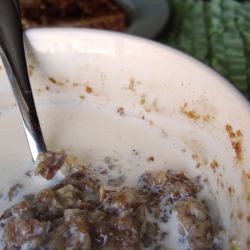 I love oatmeal - Recipe photo by belle boulangère