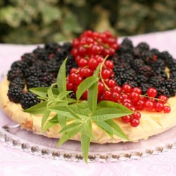 Blackberries Cheesecake - Recipe photo by Kja
