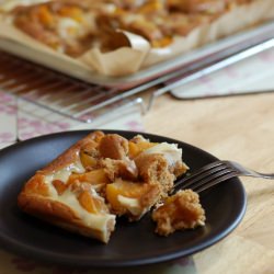 Moist Plum Cake With Vanilla Ripple - Recipe photo by alexthepink