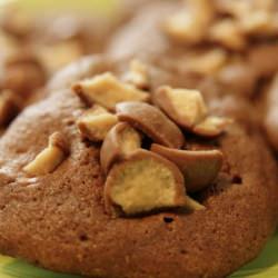 Chocolate Malted Whopper Drops - Recipe photo by SingForYourSupper