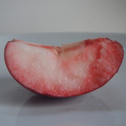Little Slice of a Burgundy Apple - Recipe photo by bricole