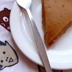 Gluten Free Pumpkin Pie - Recipe photo by naomi devlin
