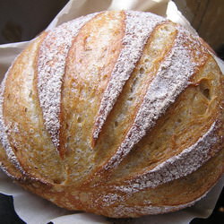 No-Knead Boule - Recipe photo by toxobread
