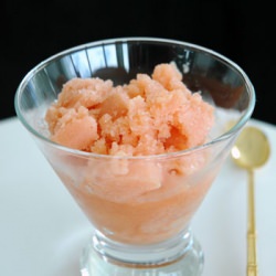 Blood Orange Sorbet - Recipe photo by winosandfoodies