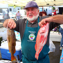 I Got Two Snappers For You - Recipe photo by launate
