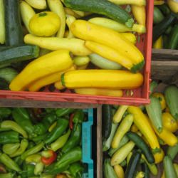 Meet a Greenmarket Vendor - Recipe photo by eatmakeread