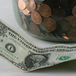 How to Cook During a Recession - Recipe photo by eatingoutloud