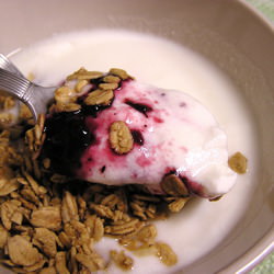 Homemade Yogurt - Recipe photo by toxobread