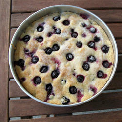 Rustic Grape Cake - Recipe photo by clynch