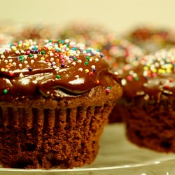 Chocolate Chocolate Cupcakes - Recipe photo by chezus