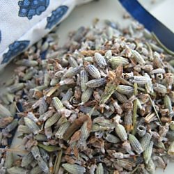 Herbes de Provence - Recipe photo by _ts-eatingclubvancouver