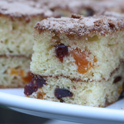 Cinnamon Streusel Coffee Cake - Recipe photo by foodlibrarian