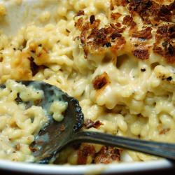 Caraway-Gruyère Spaetzle Gratin - Recipe photo by voodoolily