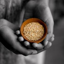 Quinoa - Recipe photo by tastypalettes