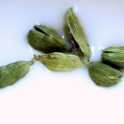 Cardamom Milk - Recipe photo by clynch