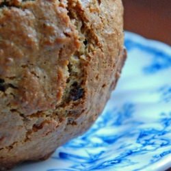 Orange Cranberry Muffins - Recipe photo by feastsandfotos