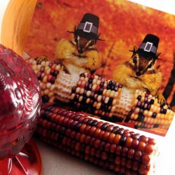 Thanksgiving Preparation - Recipe photo by crabbycook