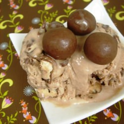 Malted Milk Whopper Ice Cream - Recipe photo by annieseats