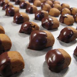 Chocolate Covered Pfeffernusse - Recipe photo by katbaro