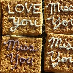 Tele-Graham Crackers - Recipe photo by Cakespy