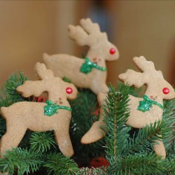 Gingerbread Cookies - Recipe photo by savoringtimeinthekitchen