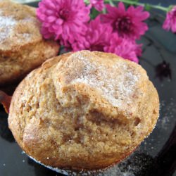 Spiced Yogurt Muffins - Recipe photo by crabbycook