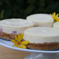 Four Flavors of Cheesecake - Recipe photo by foodlibrarian