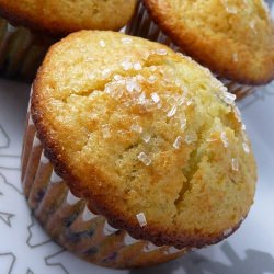 Orange Berry Muffin - Recipe photo by HoneyB