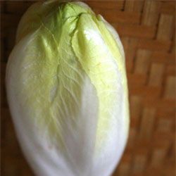 Endive Walnut Roquefort Tart - Recipe photo by licking my lips