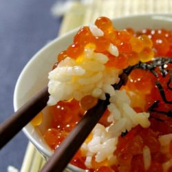 Ikura Don - Recipe photo by mykitchen