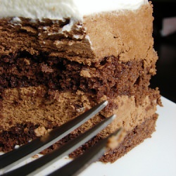 Chocolate Mousse Cake - Recipe photo by Tender Crumb