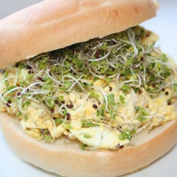 Tofu Egg Salad - Recipe photo by frantichomecook