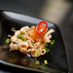 Crispy Chicken Cracklin's - Recipe photo by norecipes