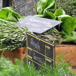 Mixed Greens - Recipe photo by licking my lips