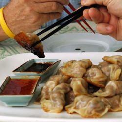 Gyoza - Recipe photo by winosandfoodies