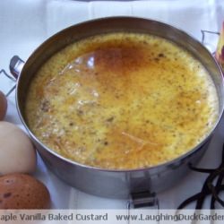 Maple Vanilla Bean Baked Custard - Recipe photo by PetitCanard