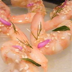 Beautiful Shrimp Cocktail - Recipe photo by mylastbite