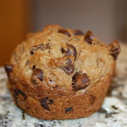 Mocha Chocolate Chip Muffin Bites - Recipe photo by my gourmet love affair